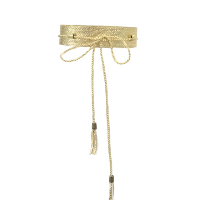 Women's Belt Slim Snake Pattern Wide Trim Gold - Shop at LoveMi