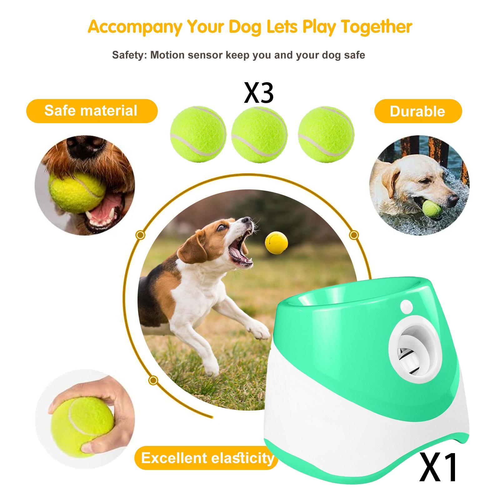 Dog Ball Throwing Machine Dogs Automatic Ball Launcher Indoor Outdoor 9