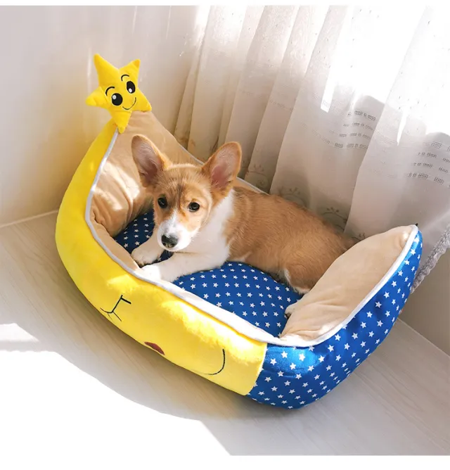 Teddy Corgi Dog Mat Moon Ship - Shop at LoveMi