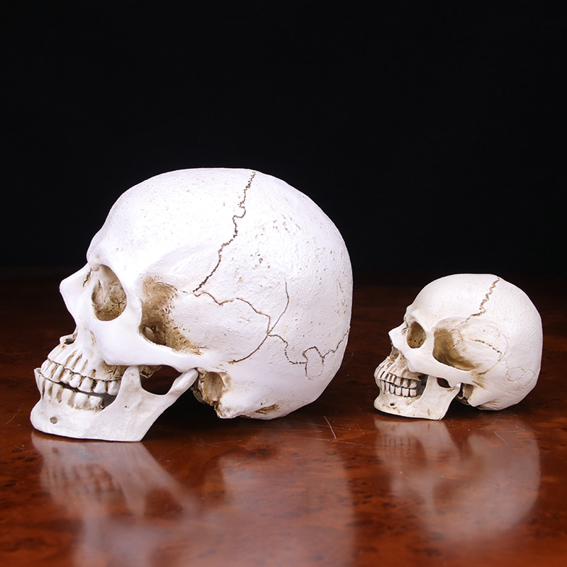 Ghost bar decoration (Small Skull)