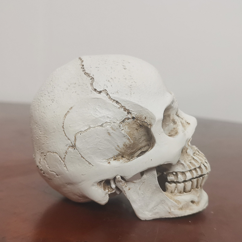 Ghost bar decoration (Small Skull)