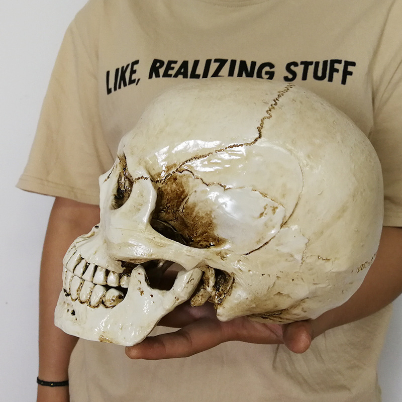 Large skull