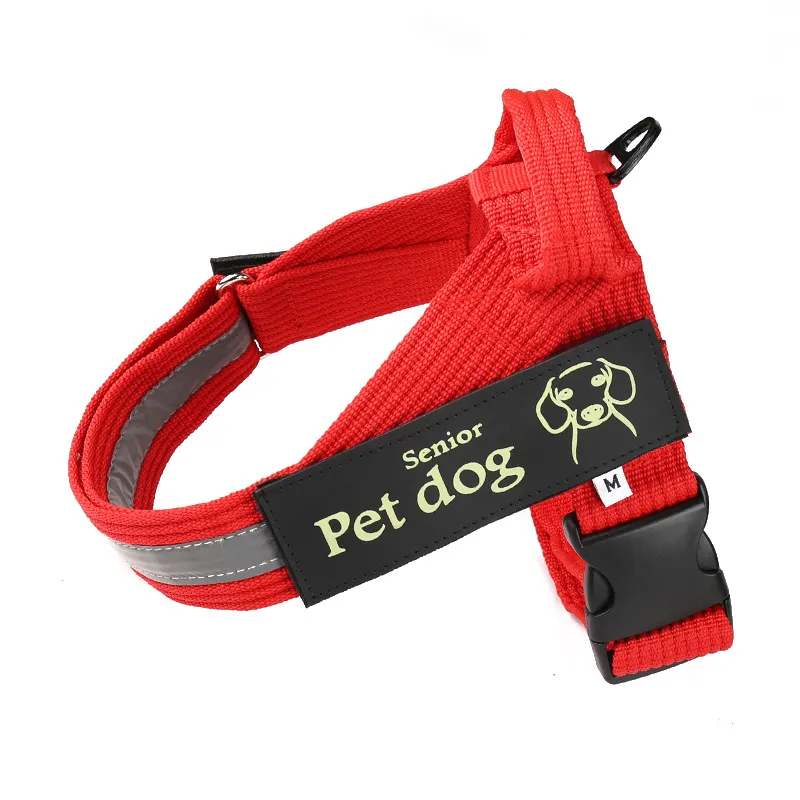 Dog leash and chest harness - Red
