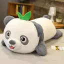 Cute Round Eyes