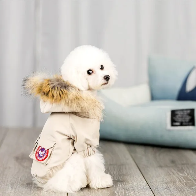 Pet dog clothes wool hat clothes cotton clothes Grey - Shop at LoveMi