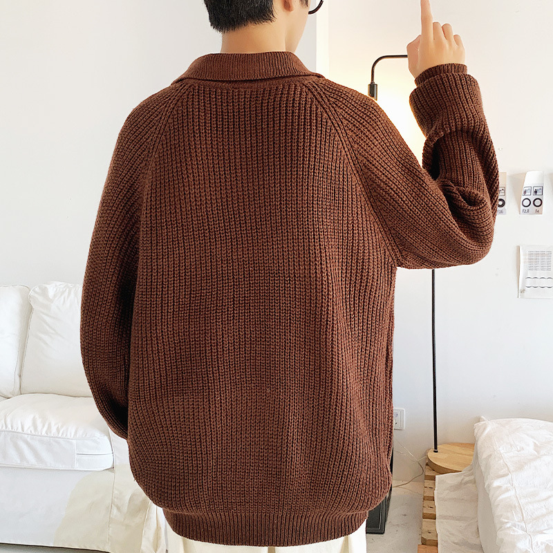 Men's lapel sweater