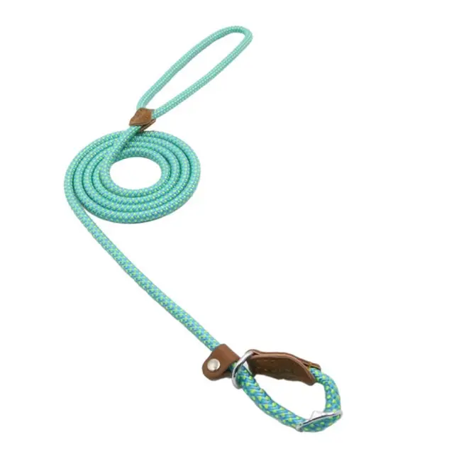 Strong and Sturdy Nylon Dog Collar, Lead, P Type Blue - Shop at LoveMi