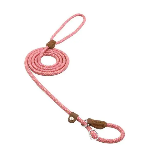 Strong and Sturdy Nylon Dog Collar, Lead, P Type Pink - Shop at LoveMi
