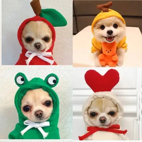 Fruit Dog Clothes Two-legged Hooded Outfits Green Fleece Clothing