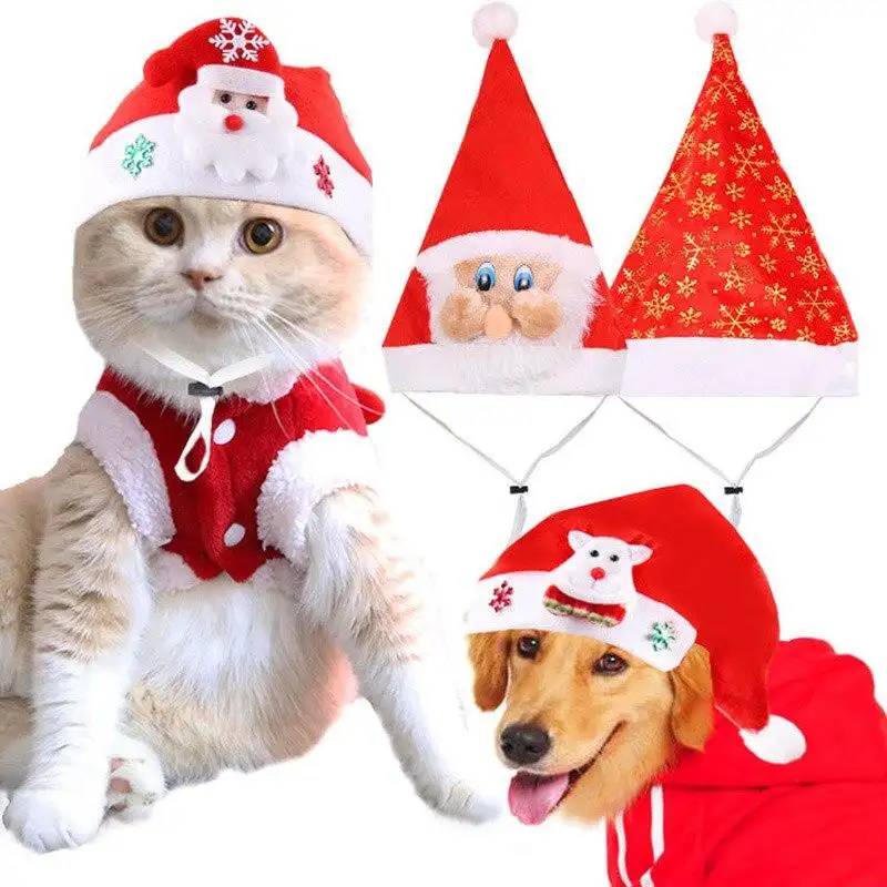 Small, medium and large dogs christmas pet