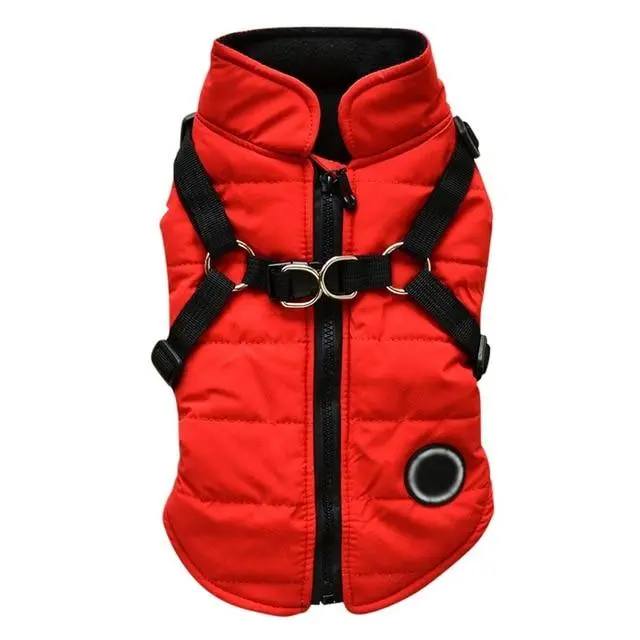 Dog zipper jacket Red - Shop at LoveMi