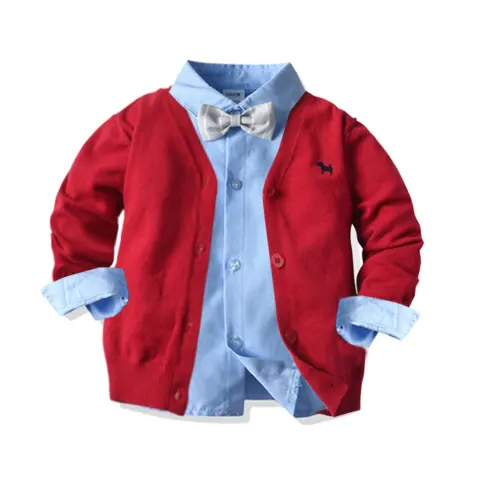 Boys College Pullover