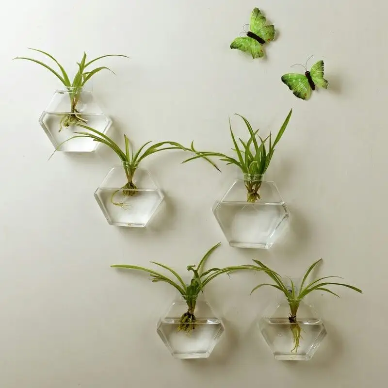 Wall-mounted Fish Tank