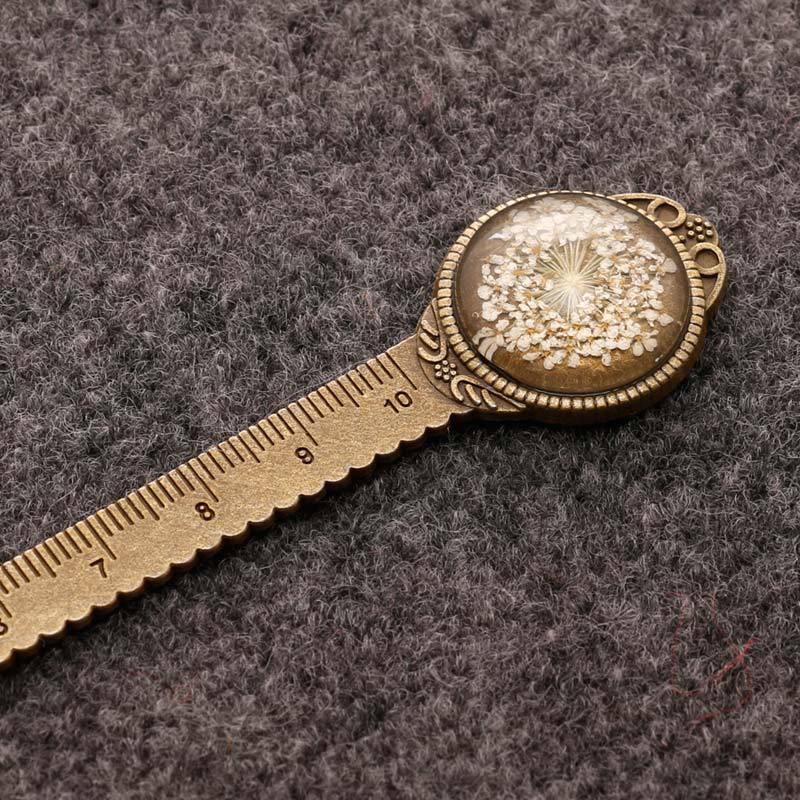 مسطرة زهرة جيبسوفيلا المجففة