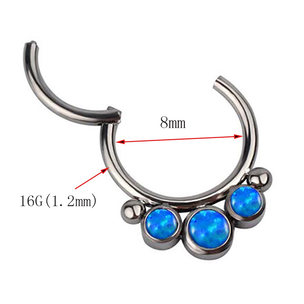 Pure titanium closed Lip Ring