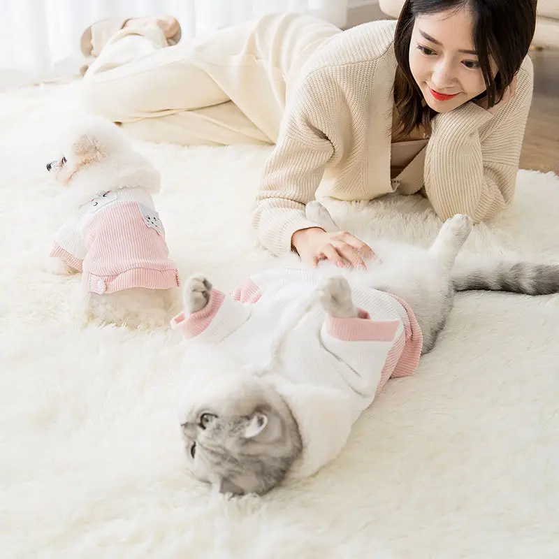 Cartoon Pet Cotton