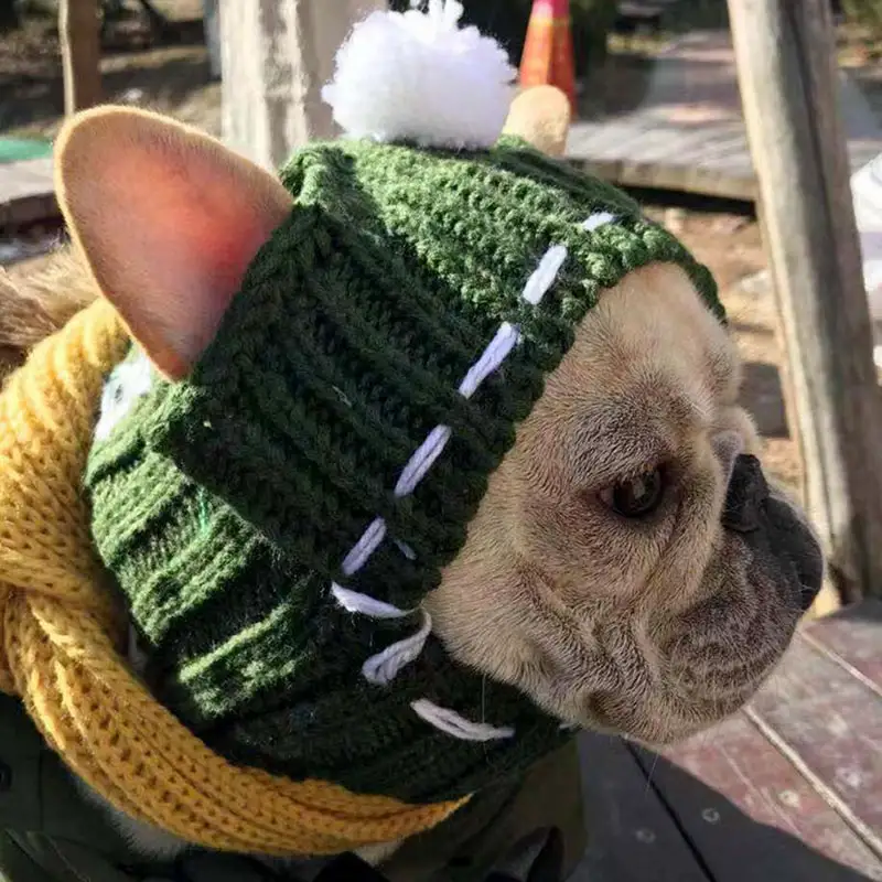 Funny woolen hat for pets to keep
