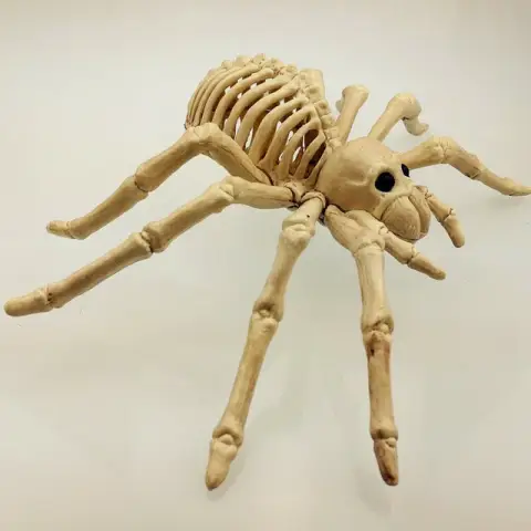 Halloween Horror Decorations