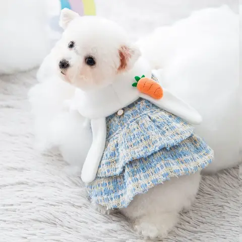 New Skirt Dress Autumn and Winter Dog Woolen Small