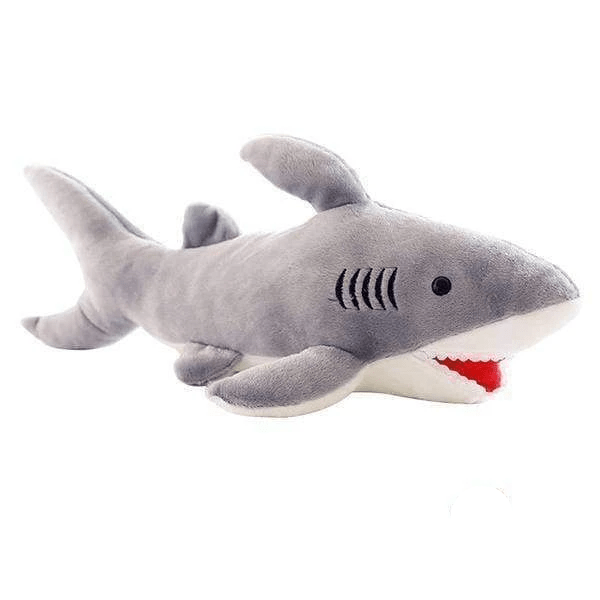 Shark