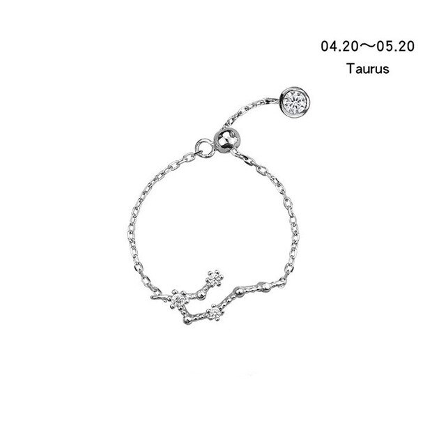 925 Sterling Silver Twelve ConstellationFlash Diamond Ring Joint Ring Tail Ring