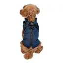 Blue N Chest Strap
