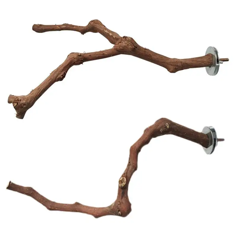 Bird Standing Stick Wild Grape Wood Grinding