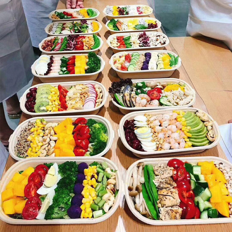 Disposable Cassette Pulp Salad Meal Green Biodegradable Boxes