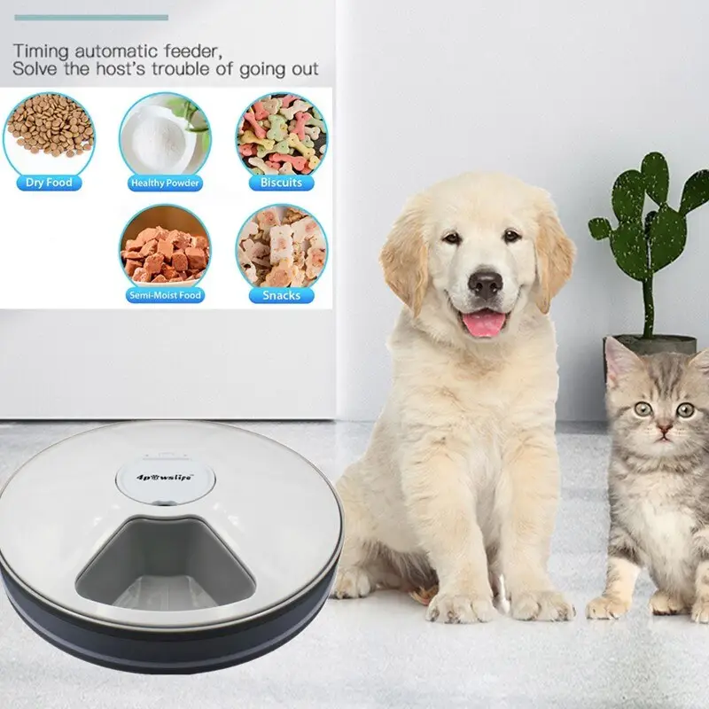 Dogs Timing Six-grid Feeder Cat Quantitative Music