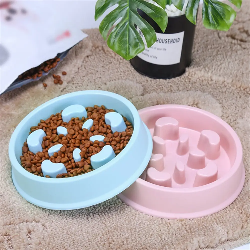 Pet Bowl Anti Choking Slow Feeding Puzzle