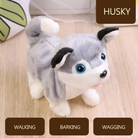 Children Grow Up Interesting and Lovely New Pet Dog