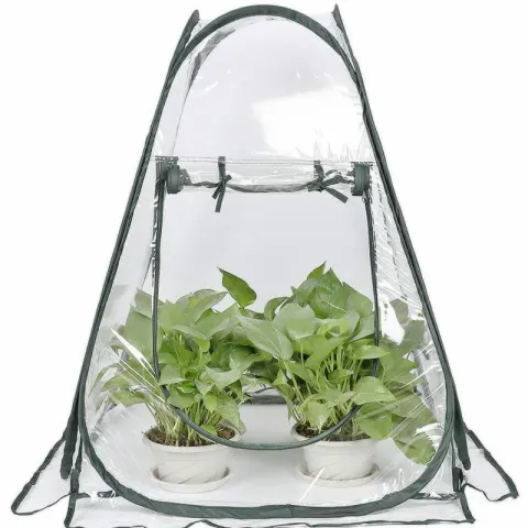 Outdoor Garden Plants and Flowers Antifreeze Greenhouse