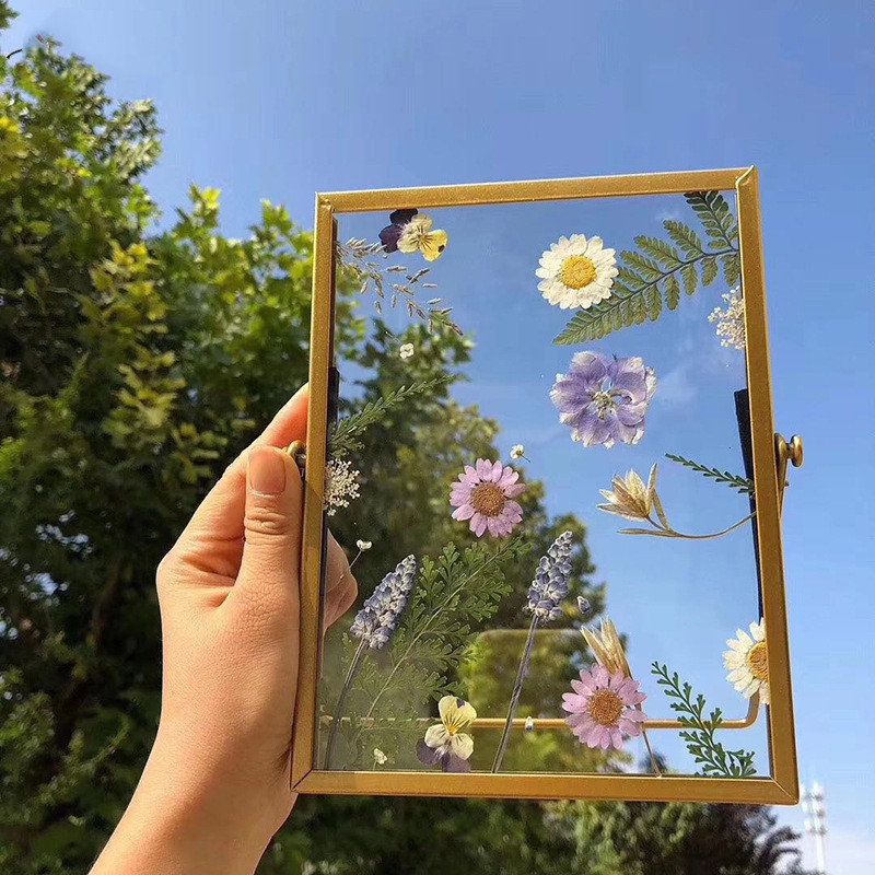 Retro stereo diy plant specimen photo frame