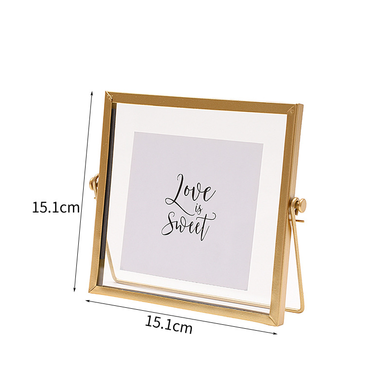 Retro stereo diy plant specimen photo frame
