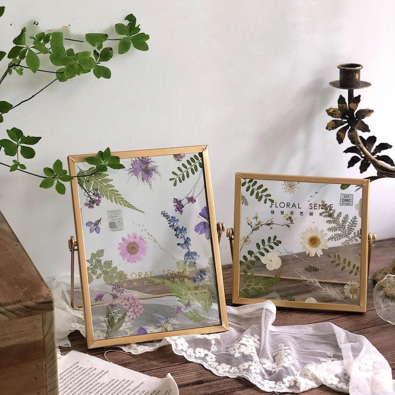 Retro stereo diy plant specimen photo frame