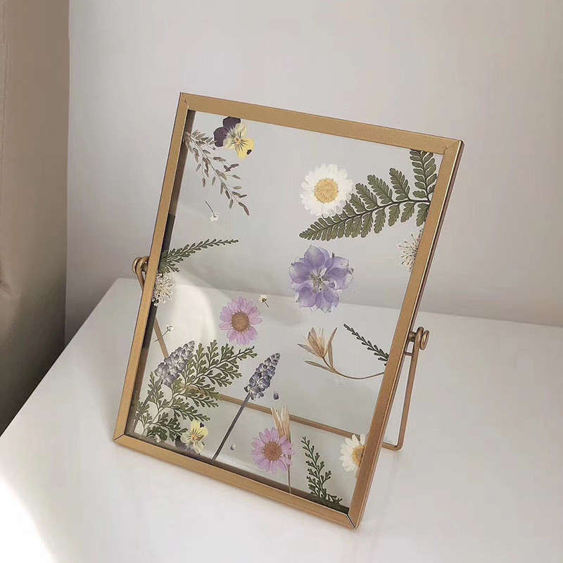Retro stereo diy plant specimen photo frame