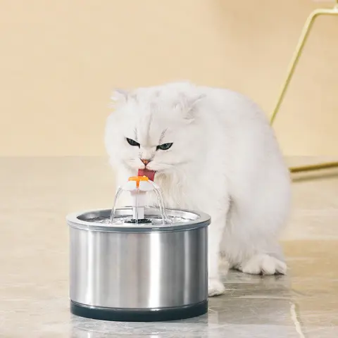 Stainless Steel Cat and Small Flower Drinking Bowl Dog