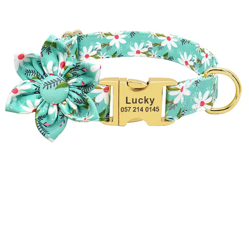 Fashion Printed Dog Collar Personalized Nylon Custom
