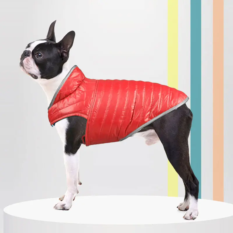 Pet Dog Clothes Autumn and Winter Light Down Double-Sided