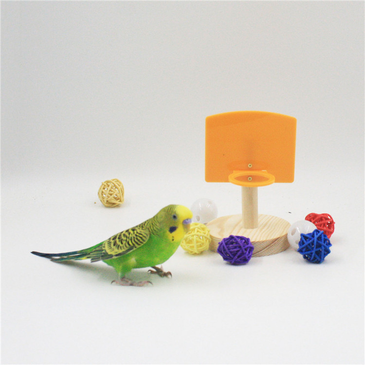 Title 1, Parrot Puzzle Training Shooting Toy Wisdom Mini...