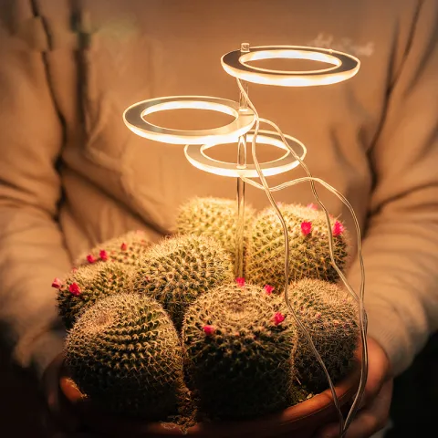 LED Grow Light Full Spectrum Phyto Lamp USB