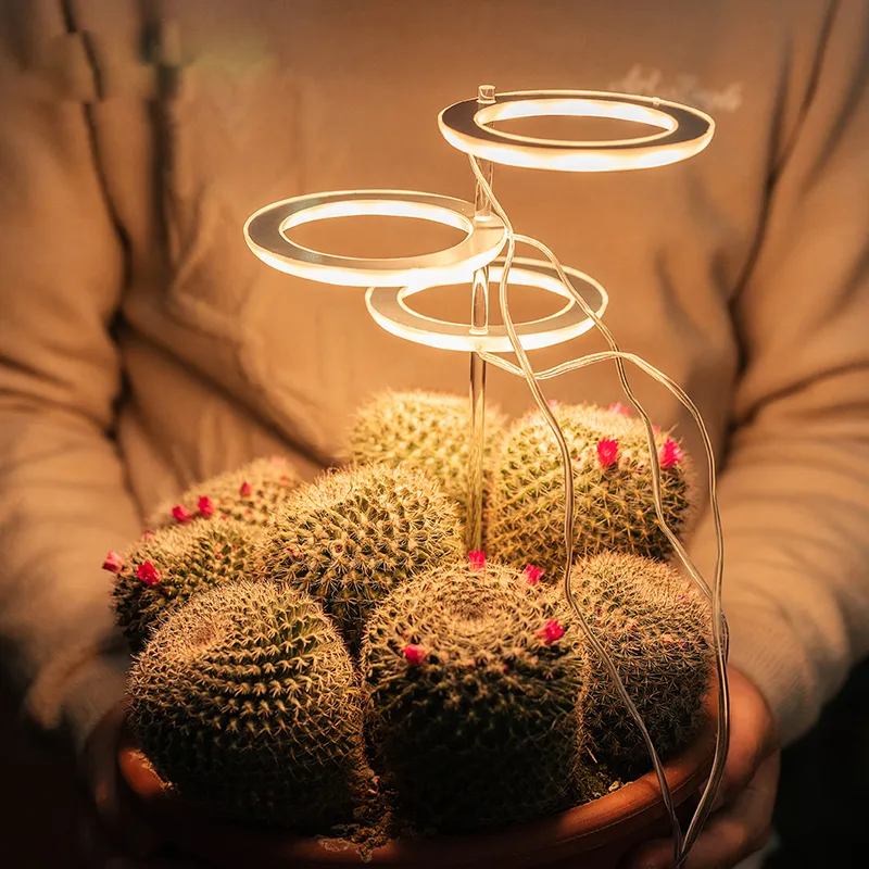 LED Grow Light Full Spectrum Phyto Lamp USB