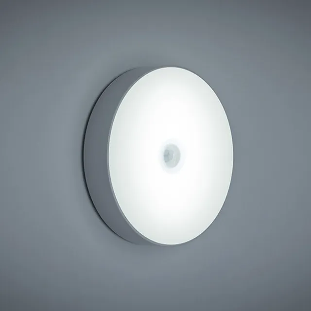 New LED Body Induction Small Night Light USB Charging