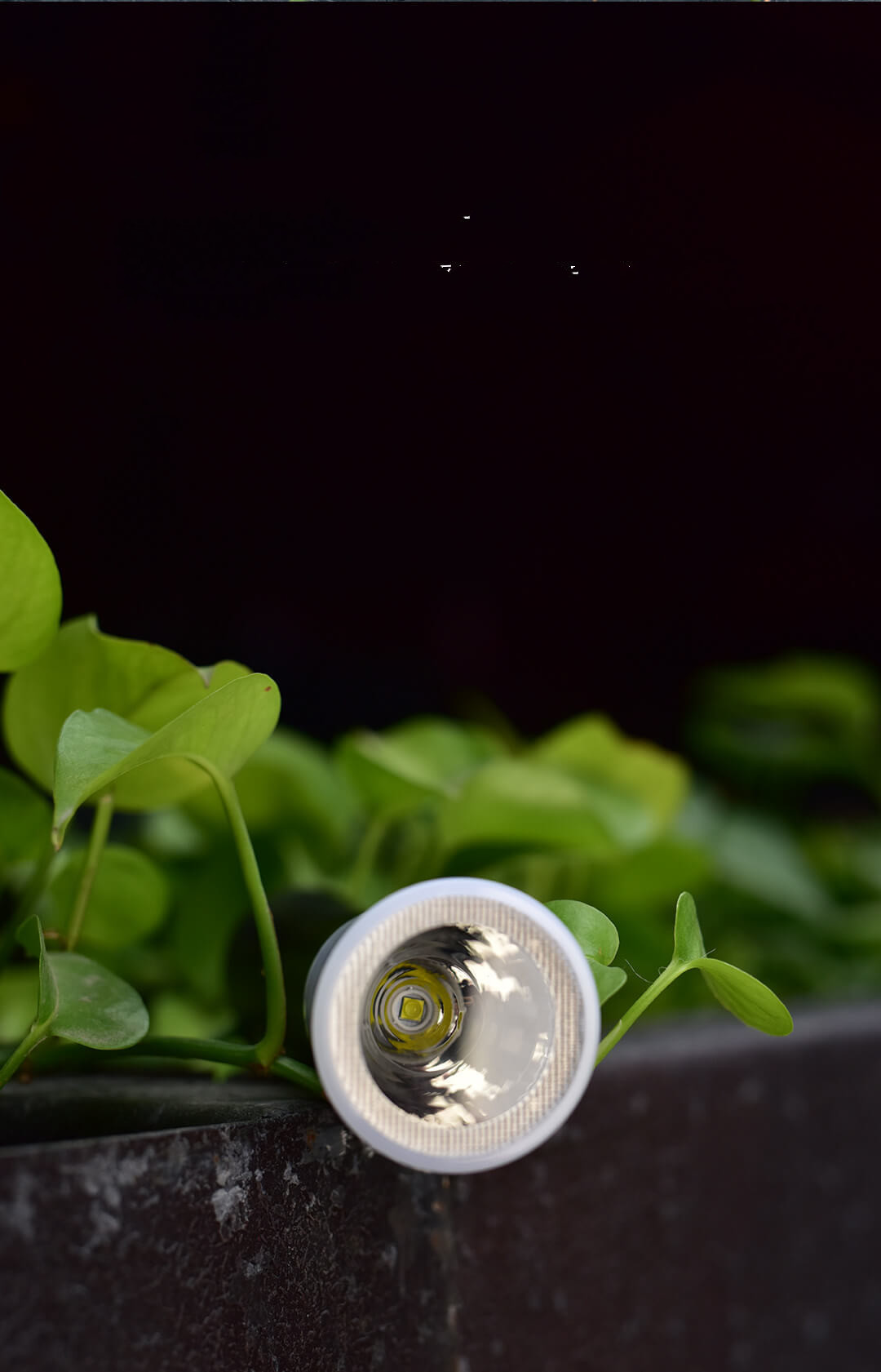 Rechargeable LED Flashlight, picture 2 of 4