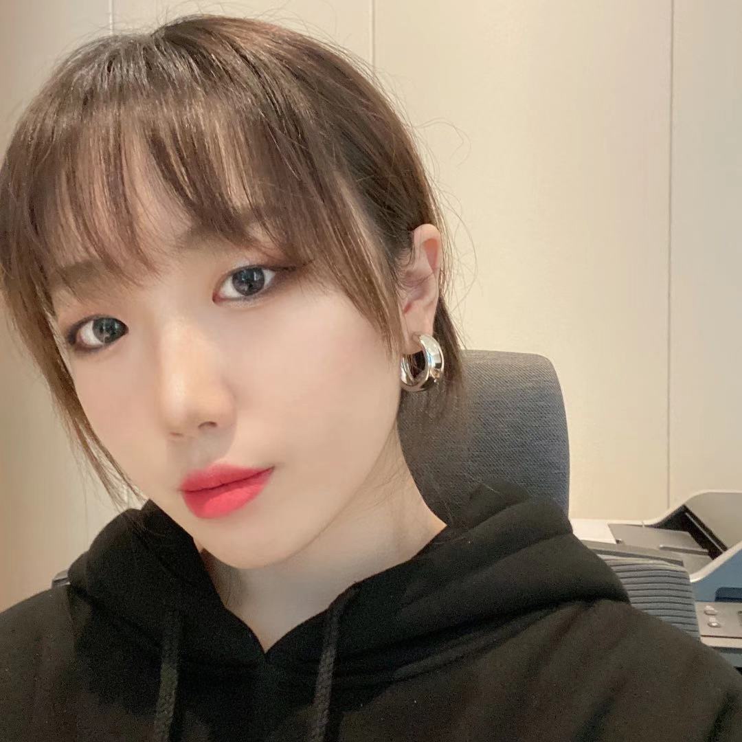 Frosty Temperament Net Red Personality Retro Earrings