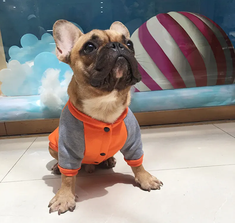 Fat Dog Pug Small and Medium Dog Pet Plus