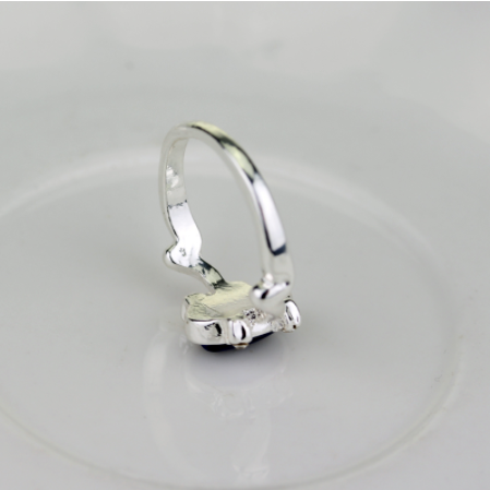 The Vampire Diaries Elena Same Ring