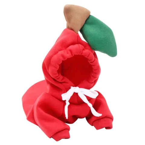 Chihuahua with Plush Pet Clothes for Autumn and Winter