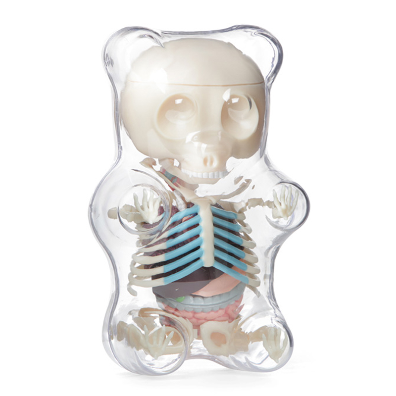 Balloon dog fluoroscopic bone anatomy model