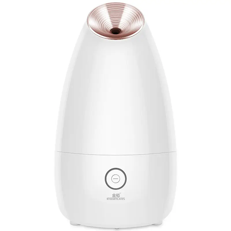 Face Steamer Beauty Instrument Steam Face Sprayer